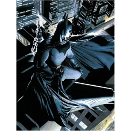 DC Comics sklenený plagát Batman Watcher 30 x 40 cm